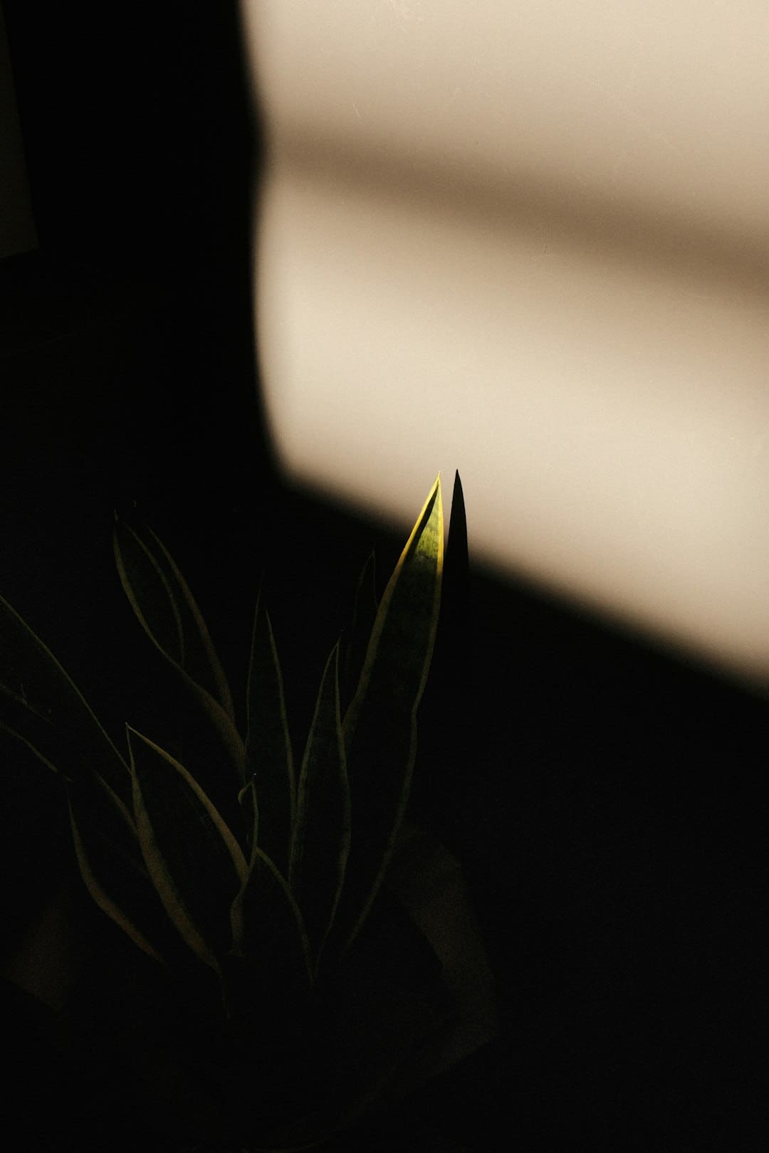 盯着拾荒老人不放，是怜悯？还是想遮羞？